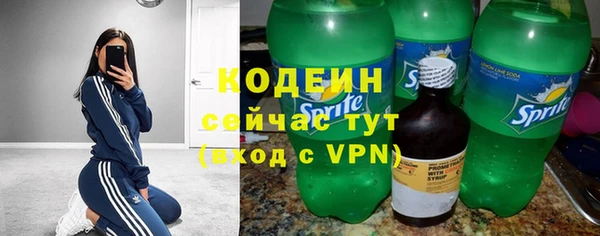 ГАЛЛЮЦИНОГЕННЫЕ ГРИБЫ Чегем