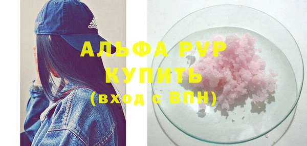 стаф Чердынь