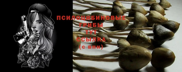 ECSTASY Заводоуковск