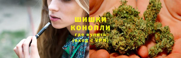 ГАЛЛЮЦИНОГЕННЫЕ ГРИБЫ Чегем