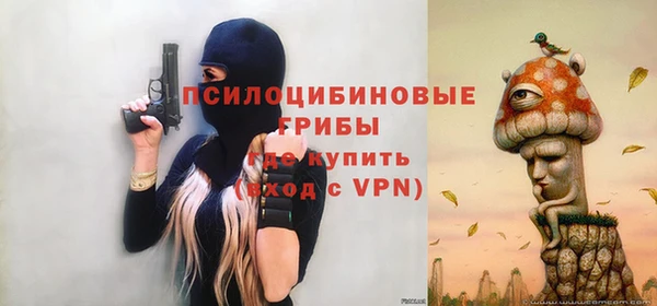 дживик Заволжье