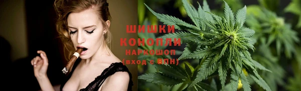 стаф Чердынь