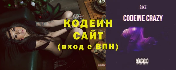 ГАЛЛЮЦИНОГЕННЫЕ ГРИБЫ Чегем