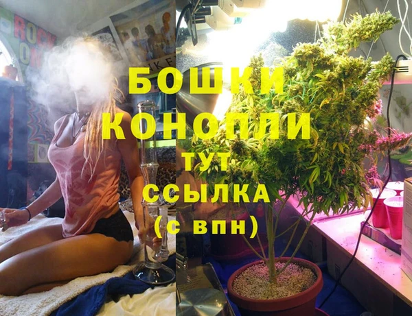 стаф Чердынь