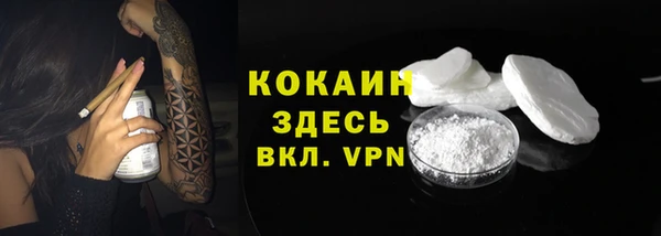 ГАЛЛЮЦИНОГЕННЫЕ ГРИБЫ Чегем
