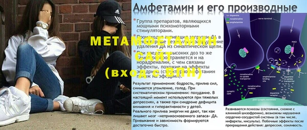ГАЛЛЮЦИНОГЕННЫЕ ГРИБЫ Чегем