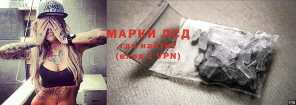 ГАЛЛЮЦИНОГЕННЫЕ ГРИБЫ Чегем