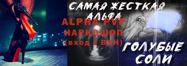 стаф Чердынь