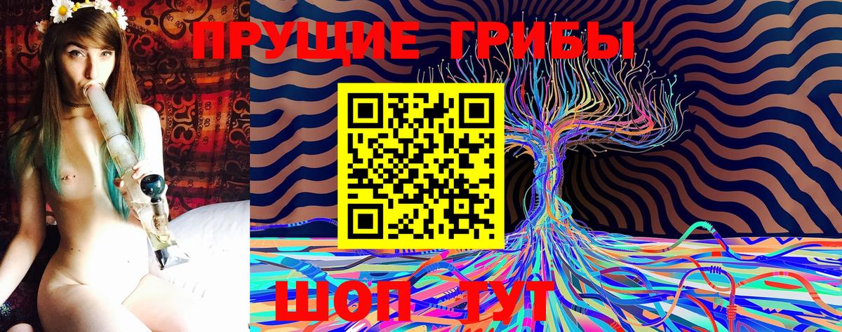 продажа наркотиков  Липецк  Псилоцибиновые грибы Psilocybe 