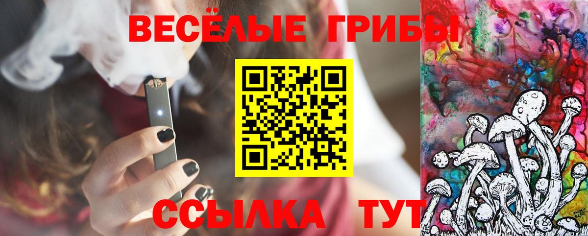 Галлюциногенные грибы Psilocybine cubensis Липецк