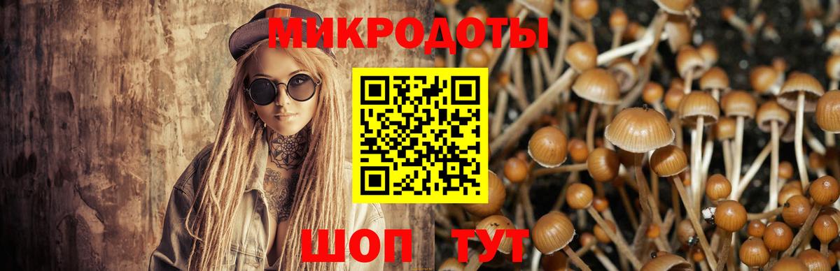 Псилоцибиновые грибы мицелий  Вход с VPN  Псилоцибиновые грибы ЛСД  Липецк 
