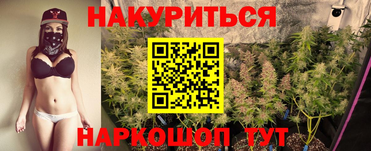 Бошки марихуана SATIVA & INDICA Липецк